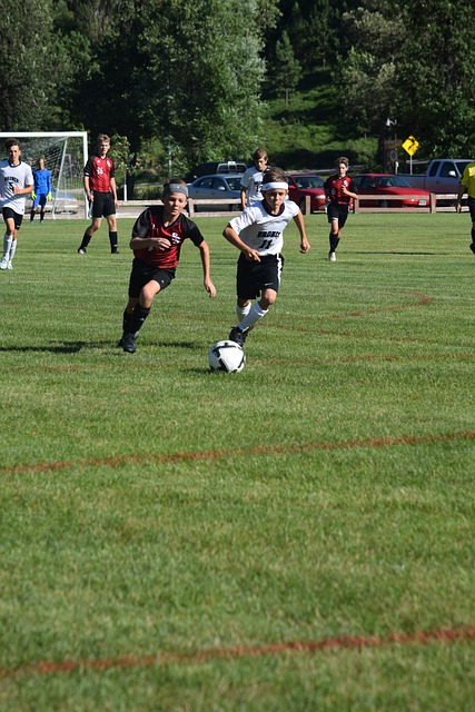 主优化词-湖北队力挫强敌赢得信心